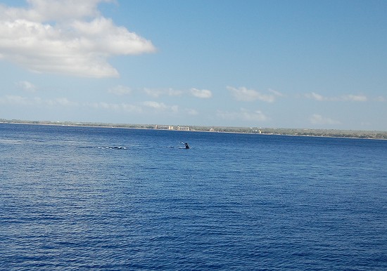 e0128367_941444.jpg