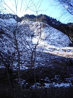 a0053272_20174878.jpg