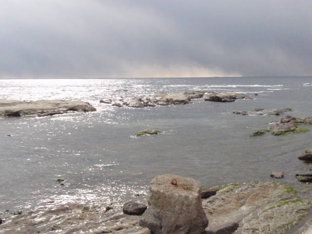 a0113874_16253881.jpg