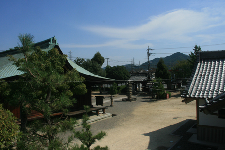 a0045381_1965586.jpg