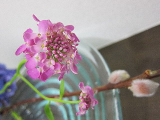f0199081_1655859.jpg