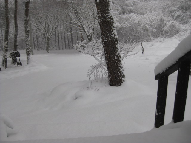 c0119385_14461265.jpg
