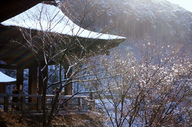 b0080789_1984597.jpg