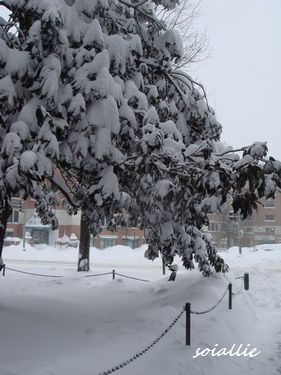b0166491_6302061.jpg