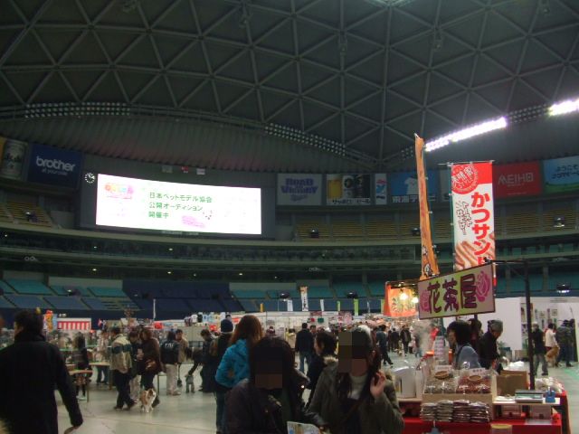 a0138392_126012.jpg