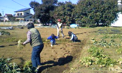 a0164292_22122749.jpg