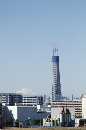 c0096393_2216380.jpg