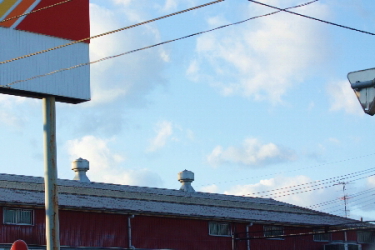 d0133693_21522628.jpg