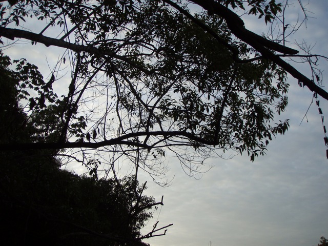 f0210098_7261863.jpg