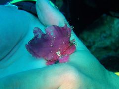 e0023100_129297.jpg