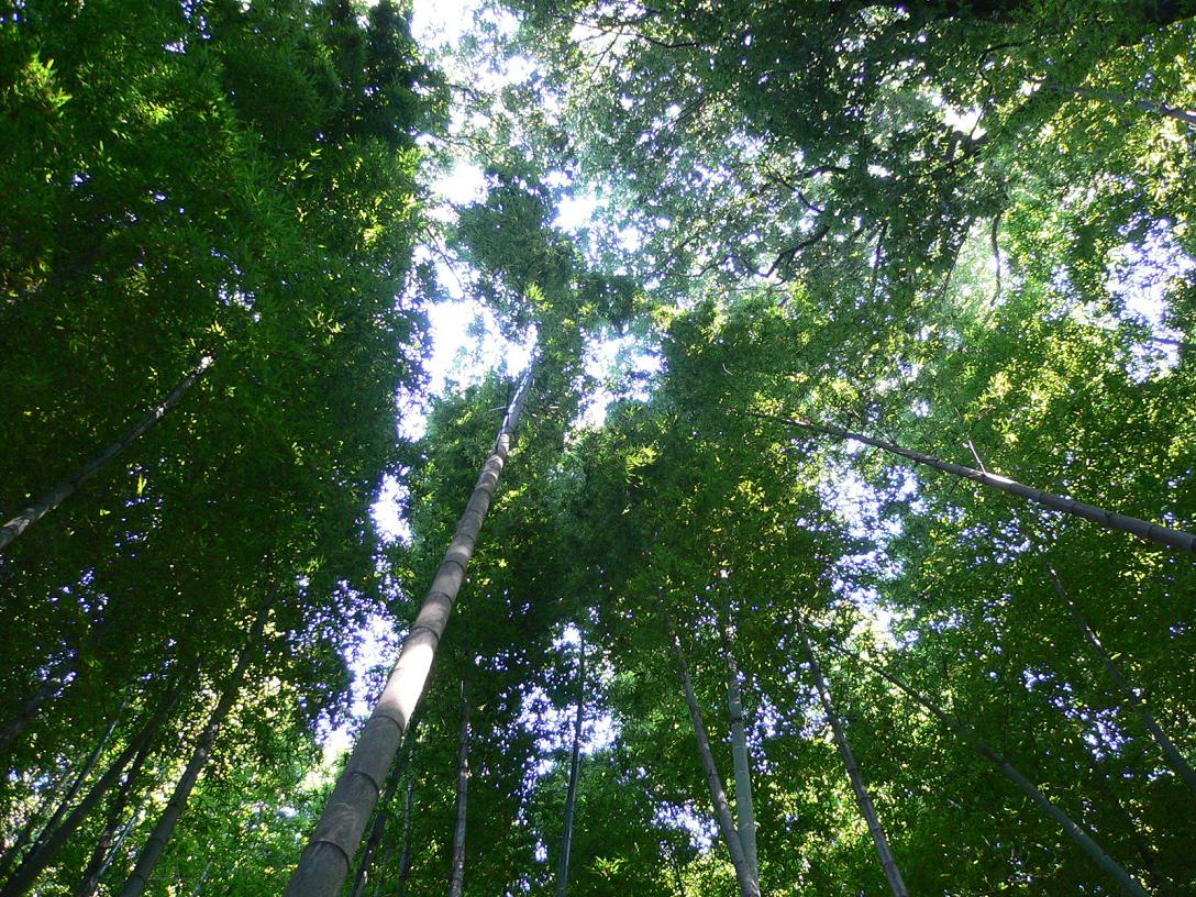 c0072801_23505374.jpg