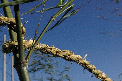 c0172101_1142731.jpg