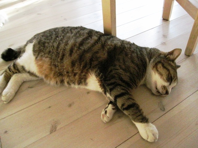 c0125702_20504558.jpg