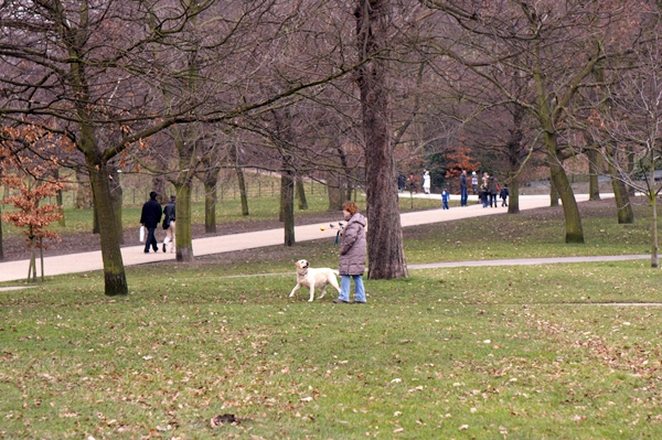 e0022303_17264665.jpg