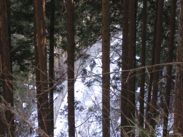 e0183804_1942103.jpg