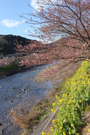 a0147507_19433289.jpg