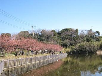 e0178307_1819128.jpg