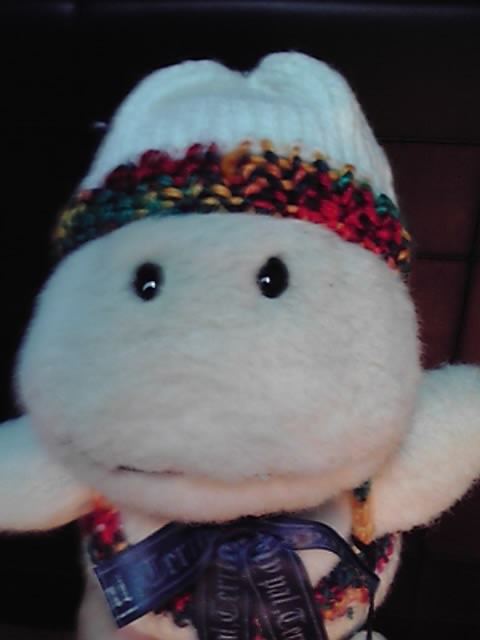 c0067610_2283643.jpg