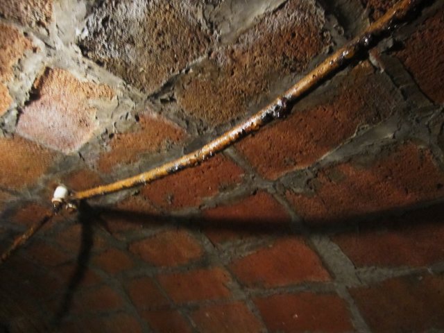 b0064411_17513550.jpg