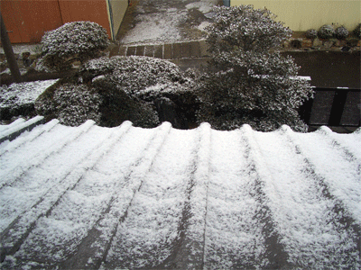 c0143711_21195312.gif