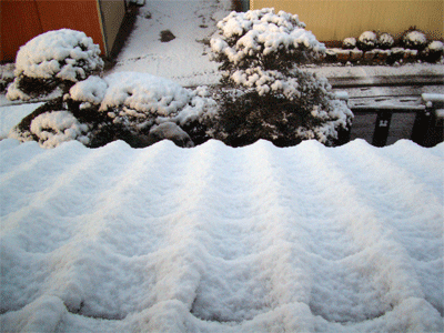 c0143711_2120411.gif