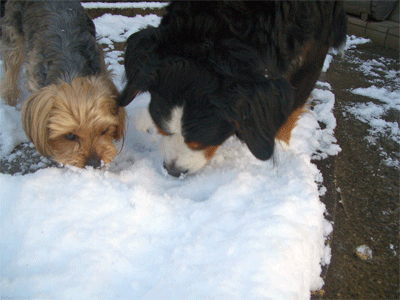 c0143711_21324521.gif