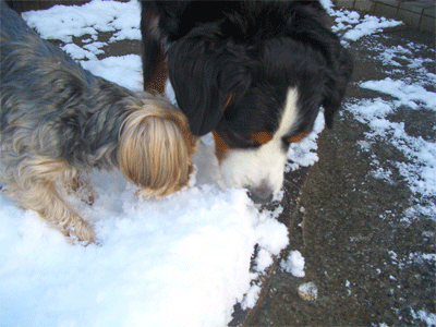c0143711_2133186.gif