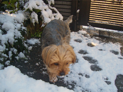 c0143711_21392679.gif