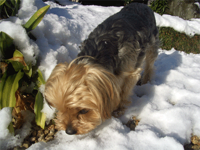 c0143711_2139715.gif