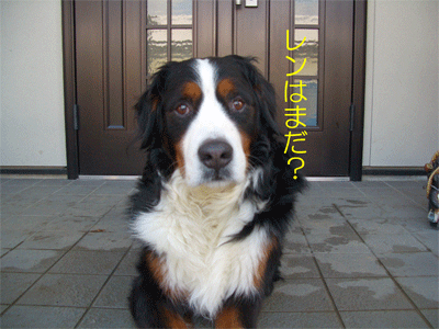 c0143711_2153664.gif