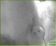 a0151913_11433427.jpg