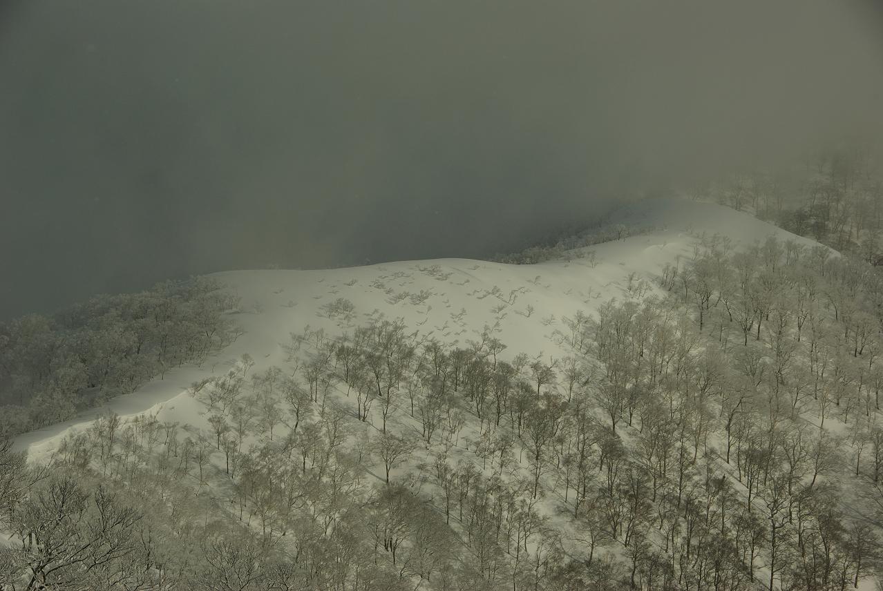 b0062024_170060.jpg