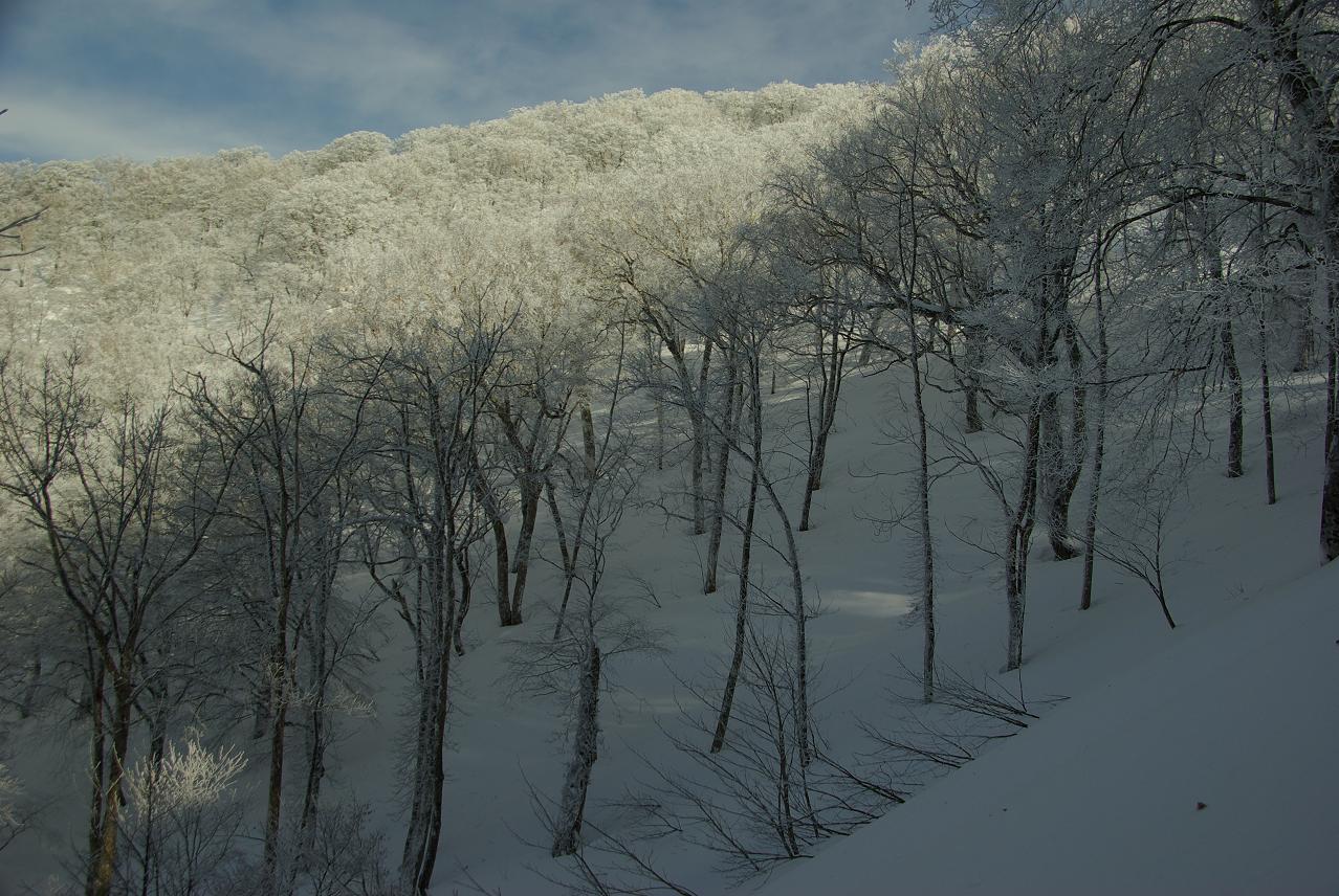 b0062024_175415.jpg