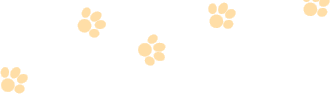 f0097424_294047.gif