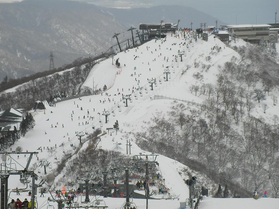 e0089227_1403423.jpg