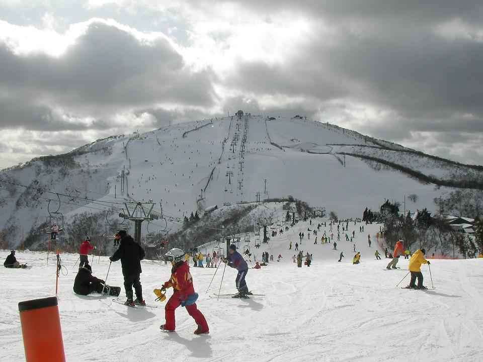 e0089227_1436366.jpg