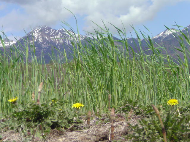 e0016828_20522680.jpg