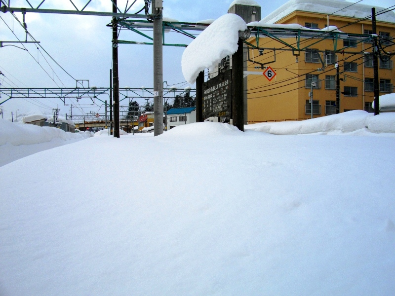c0101739_2050479.jpg