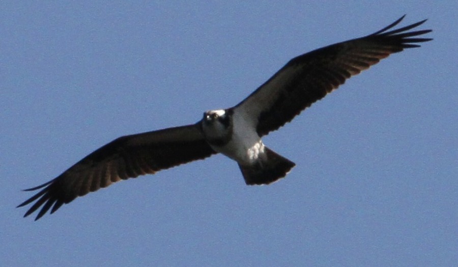 c0172139_11282012.jpg