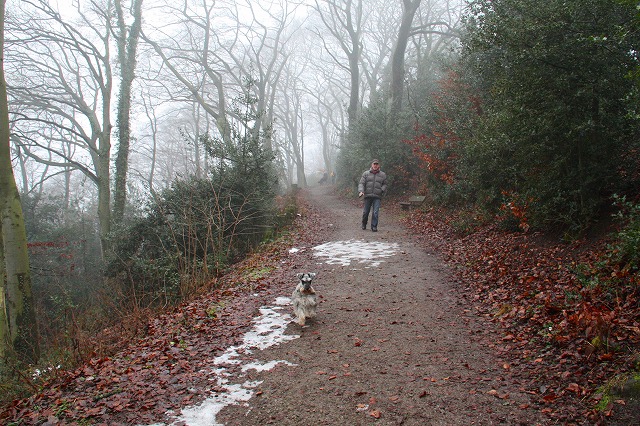 c0153740_1155363.jpg