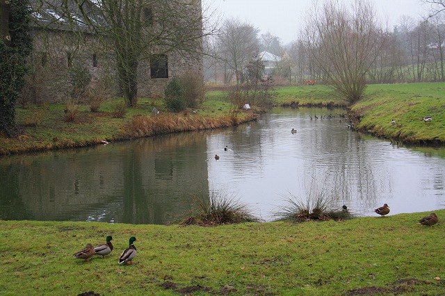 c0153740_147399.jpg