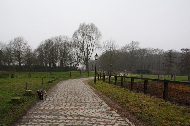 c0153740_148070.jpg