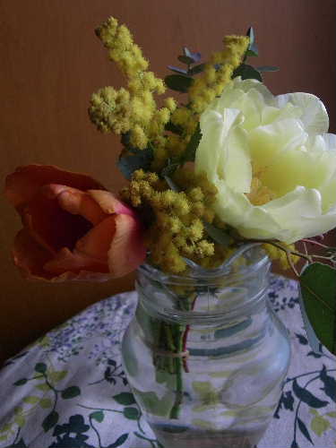 f0082141_15384377.jpg