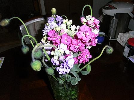 f0075043_16585899.jpg