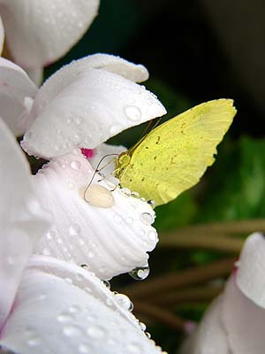 a0074650_2341952.jpg