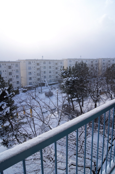 c0003752_2234545.jpg
