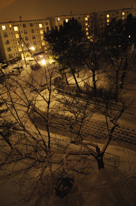 c0003752_224654.jpg
