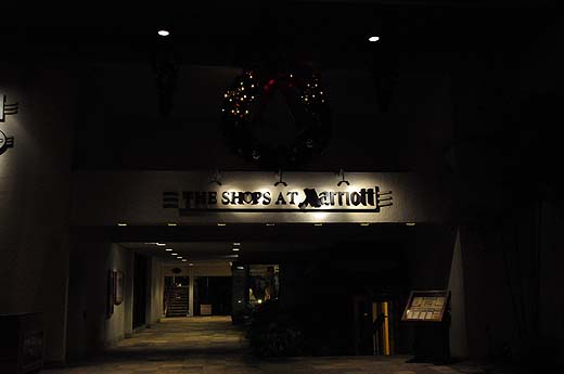 e0050753_20165226.jpg