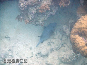 f0190653_9175260.jpg