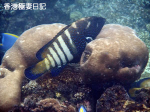 f0190653_9194754.jpg
